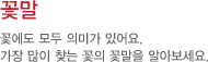 꽃말 : 꽃에도 모두 의미가 있어요.
가장 많이 찾는 꽃의 꽃말을 알아보세요.